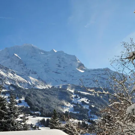 Eigersonne By Interhome * Wengen